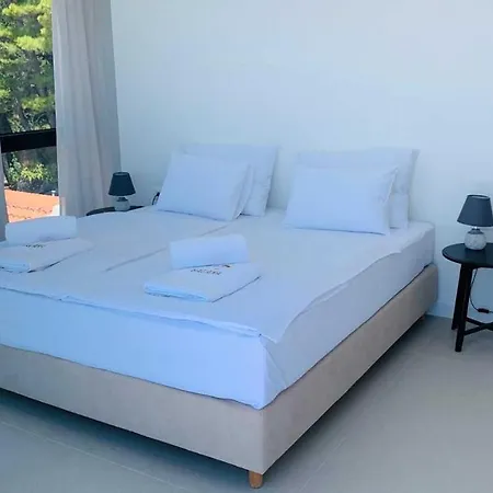 Luxurious And Spacious Pet Friendly In