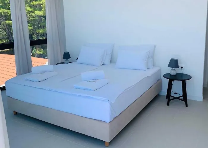 Luxurious And Spacious Pet Friendly In